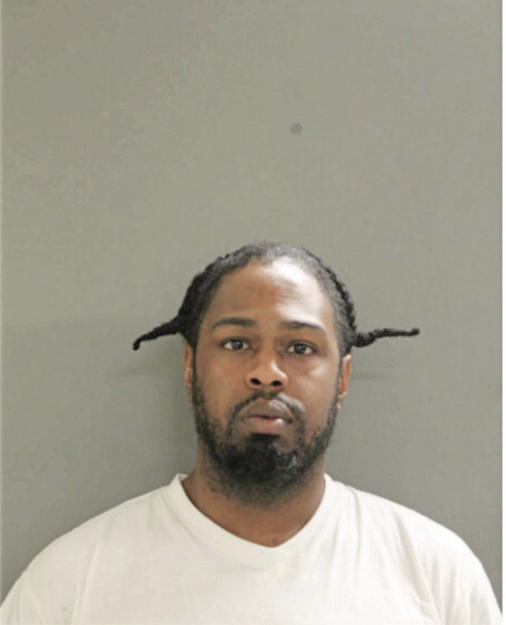 DOMINIC J BROWN, Cook County, Illinois