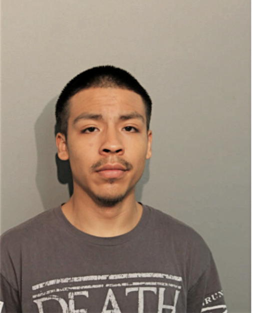 ALEXIS A CRUZ, Cook County, Illinois