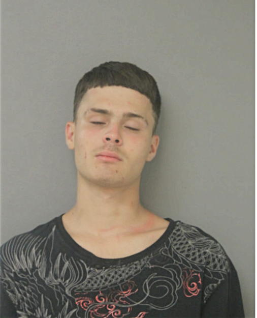 VINNIE DAVITO, Cook County, Illinois