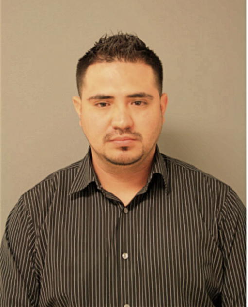 JOSE L DOMINGUEZ-MORALES, Cook County, Illinois
