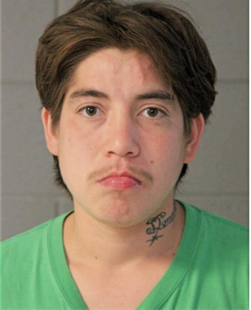 ERICK FLORES, Cook County, Illinois