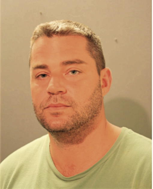 MICHAEL A GALATEANU, Cook County, Illinois