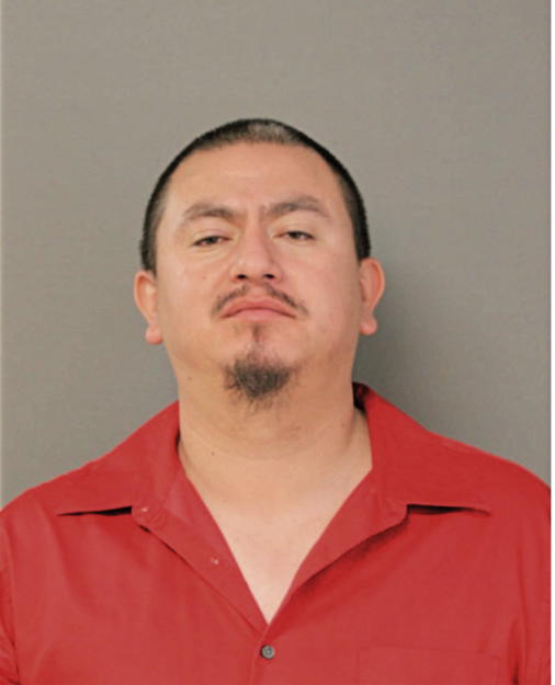 ALVARO GONZALEZ, Cook County, Illinois