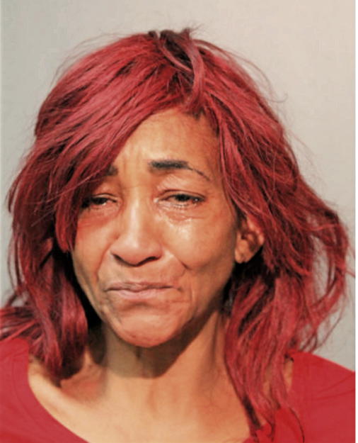 GINA R HARPER, Cook County, Illinois