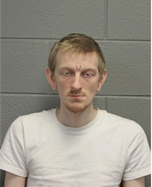 DAVID P JANKOWSKI, Cook County, Illinois