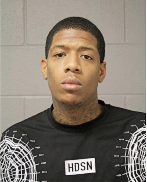 LAMAR T JOHNSON, Cook County, Illinois