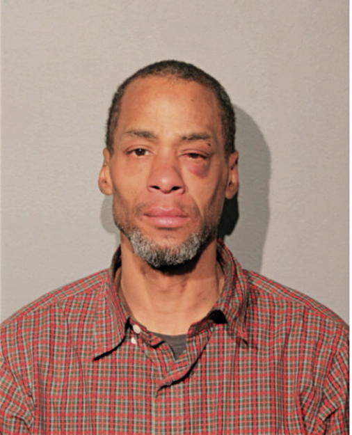 MICHAEL A JOHNSON, Cook County, Illinois