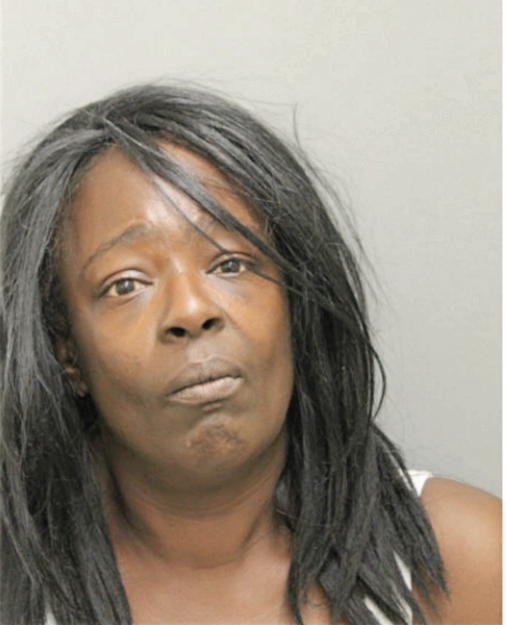 MARY E JONES, Cook County, Illinois