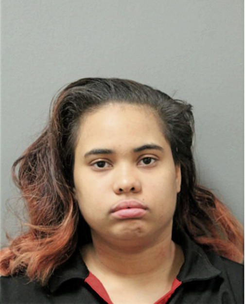 NIKI K JONES, Cook County, Illinois