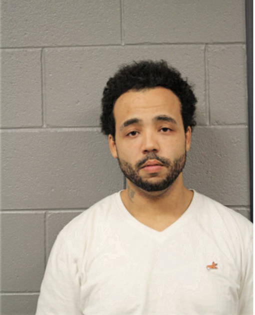 ROBERT A KIDD, Cook County, Illinois