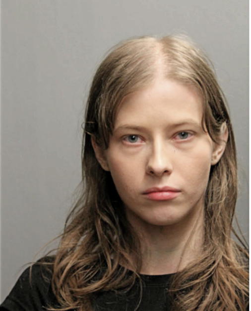 KAMILA J LIS, Cook County, Illinois