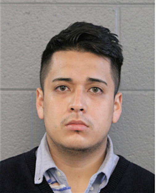 ERI MENA, Cook County, Illinois