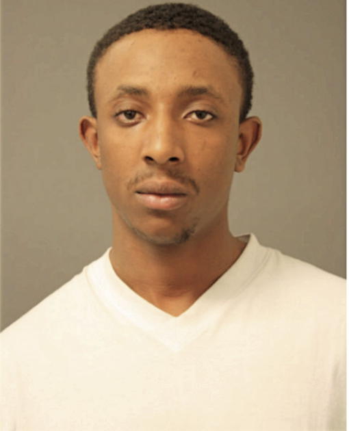 LAVON N HENDERSON, Cook County, Illinois