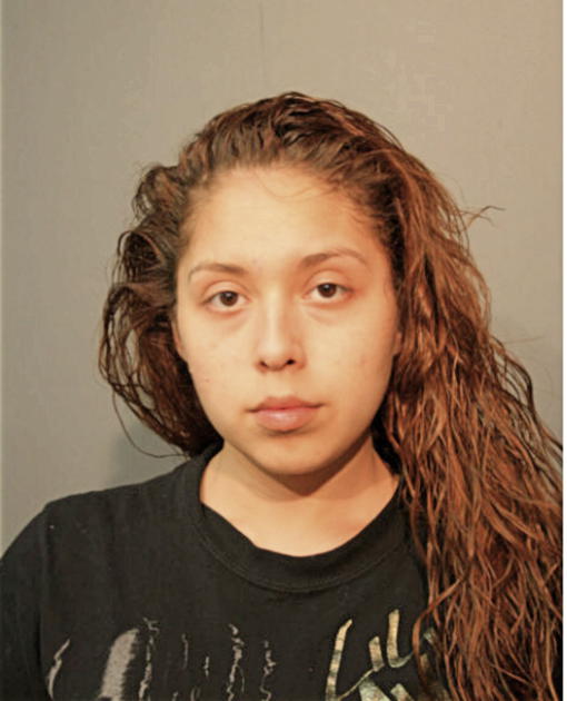 TANYA A NOAH, Cook County, Illinois