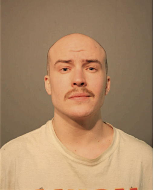 MICHAEL A PETERMAN, Cook County, Illinois