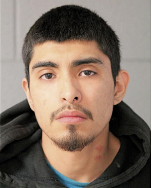 GUSTAVO MARTINEZ RENTERIA, Cook County, Illinois