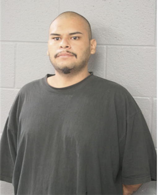 NESTOR D REYES, Cook County, Illinois
