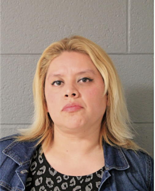 MINERVA RIOS, Cook County, Illinois