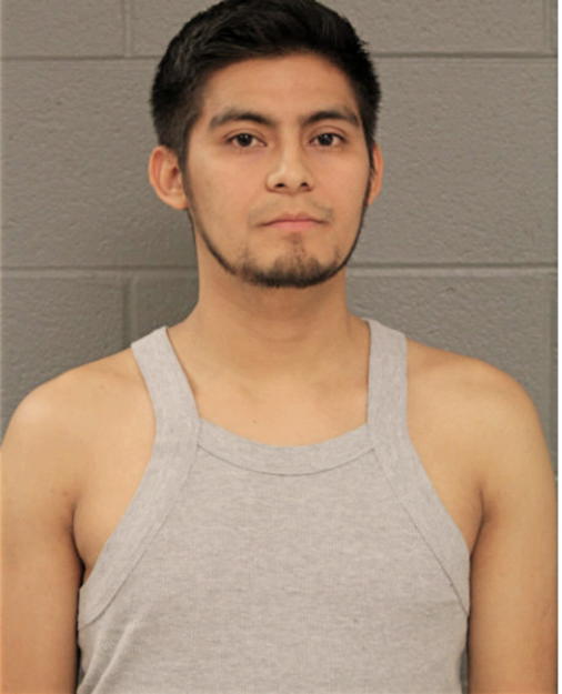 GIRON L ROBLEDO, Cook County, Illinois