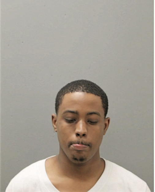 BRANDON L SEATON, Cook County, Illinois