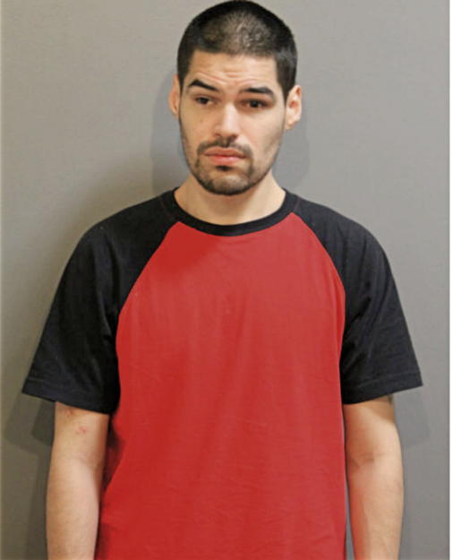 STEPHEN P SKARO, Cook County, Illinois