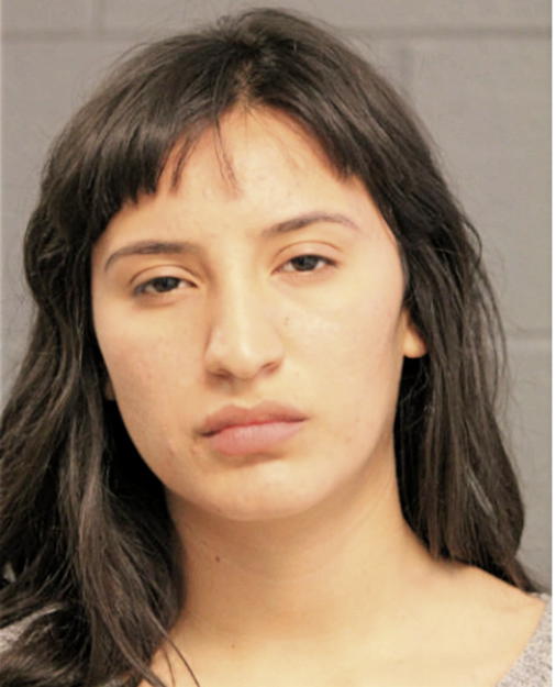 BELVET TREJO, Cook County, Illinois