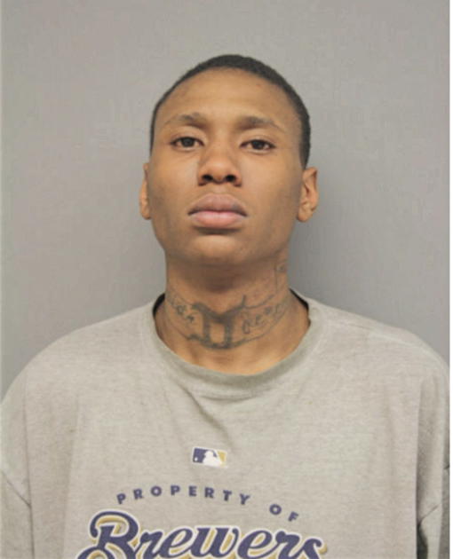 ROBERT L WILLIAMS, Cook County, Illinois