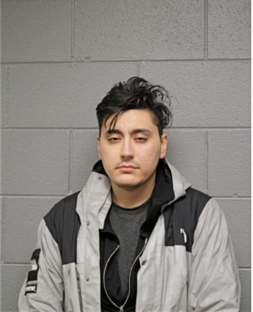 MICHAEL D BALDERAS, Cook County, Illinois