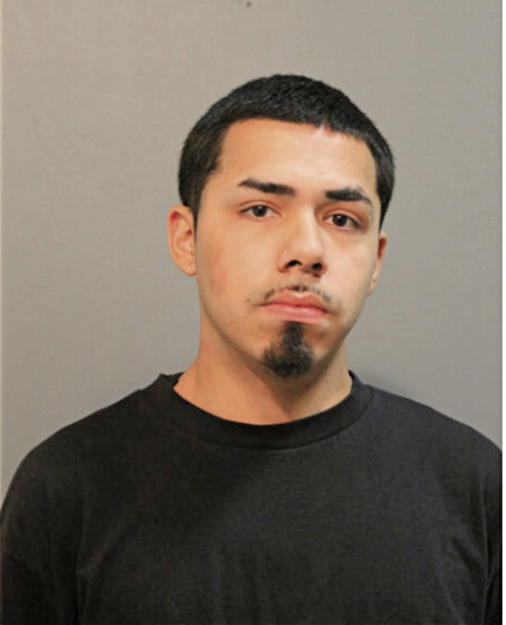 VICTOR M BRISENO, Cook County, Illinois