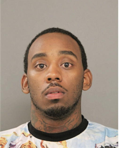LOUIS M BURKS, Cook County, Illinois