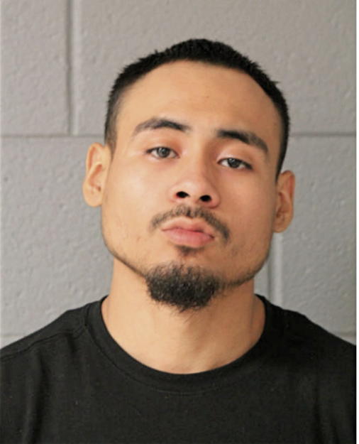 ALEX CASTRELLON, Cook County, Illinois