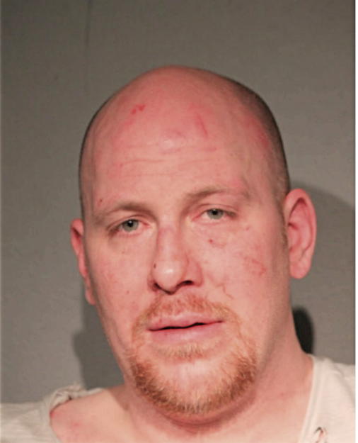 BRANDON M FEIST, Cook County, Illinois