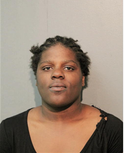BRIANA P FERGUSON, Cook County, Illinois