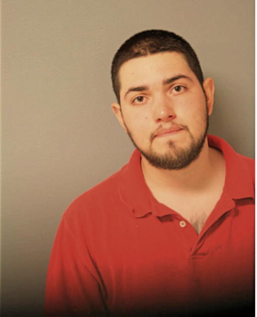 RAMON FLORES, Cook County, Illinois