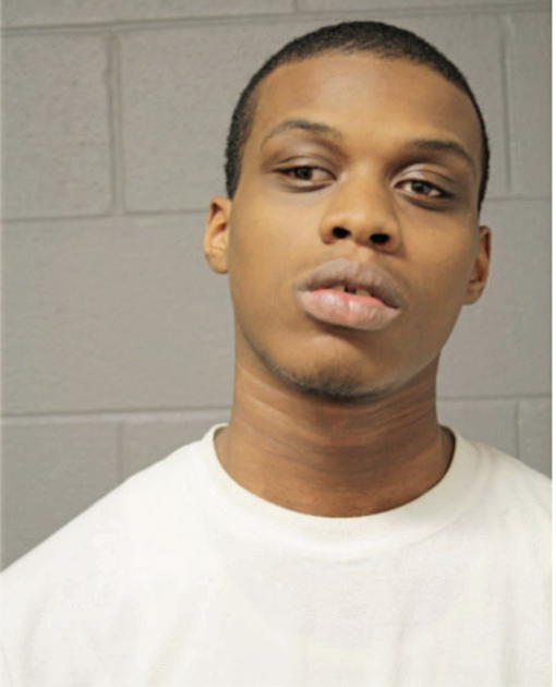 MARTIESE D HUDSON, Cook County, Illinois