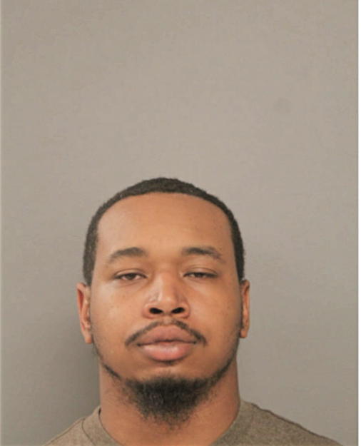 JAMES L JOHNSON, Cook County, Illinois