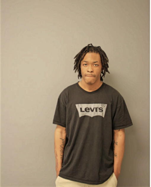WADE LEE, Cook County, Illinois