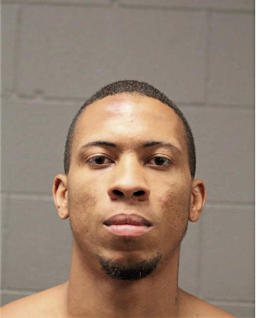 ADESON ORTEGA, Cook County, Illinois