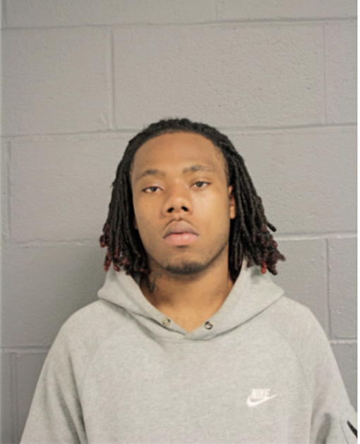 ERIC L PERRY, Cook County, Illinois