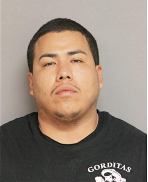 DANIEL REYES, Cook County, Illinois