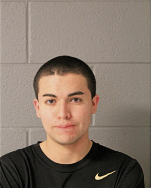DIEGO I REYES, Cook County, Illinois