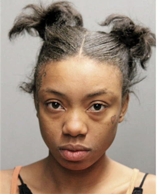 ERICA L WILLIAMS, Cook County, Illinois