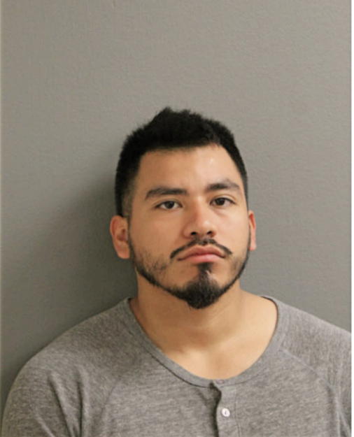 CARLOS ALFARO, Cook County, Illinois