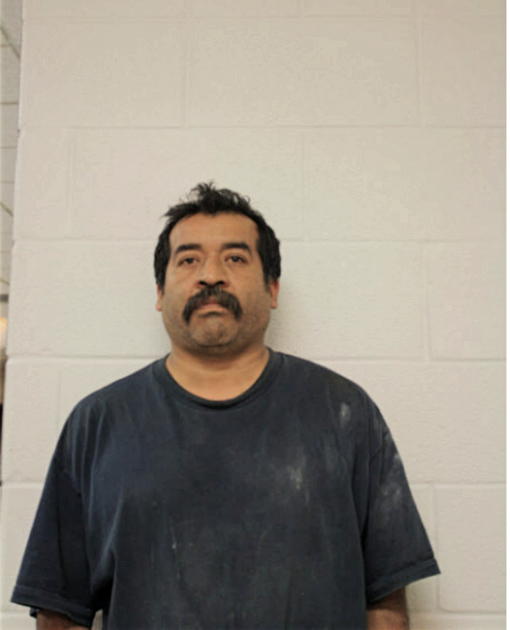 VICENTE ANDRADE, Cook County, Illinois