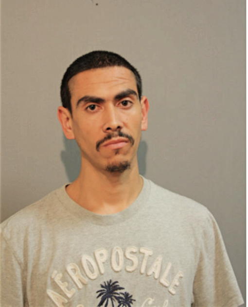 JUAN M AVINA-JIMENEZ, Cook County, Illinois