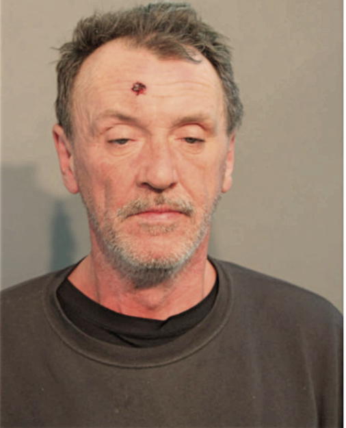 WILLIAM R BOYCE, Cook County, Illinois