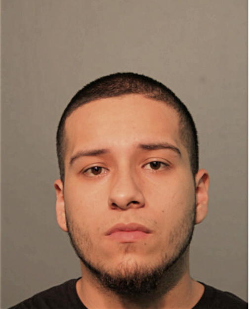 FAUSTO BUSTAMANTE, Cook County, Illinois