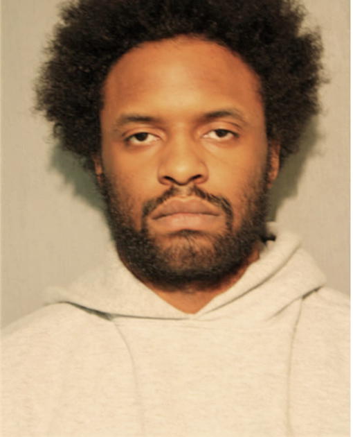 ERICK D CAMERON, Cook County, Illinois