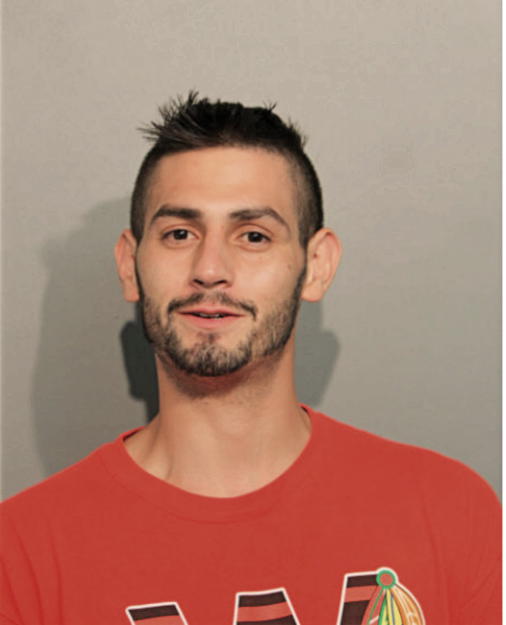 RYAN L GASCA, Cook County, Illinois
