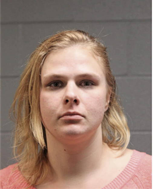LEE A GILETTA, Cook County, Illinois